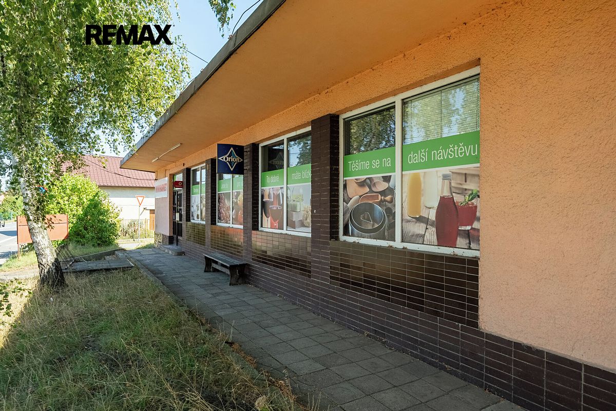 Prodej obchodního prostoru 250 m² – fotografie 3
