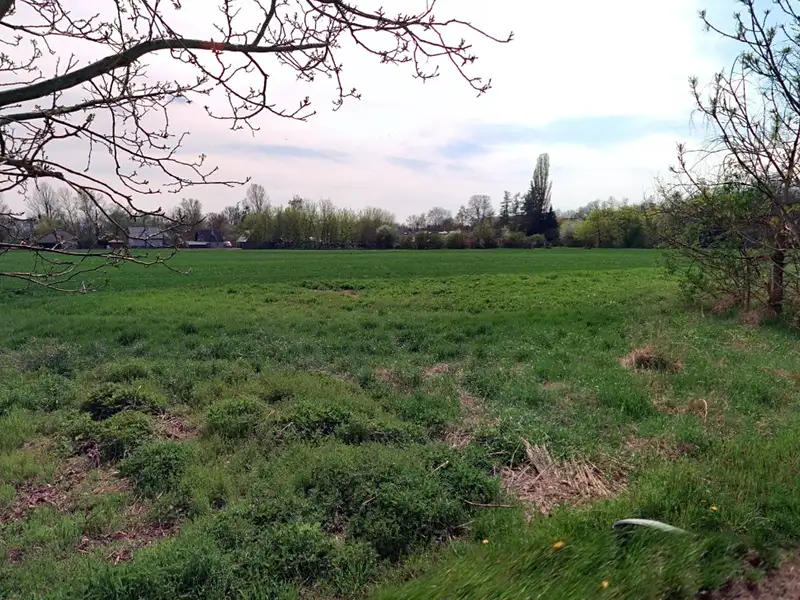 Prodej pole 12535 m², Brozany nad Ohří – náhled fotky 2