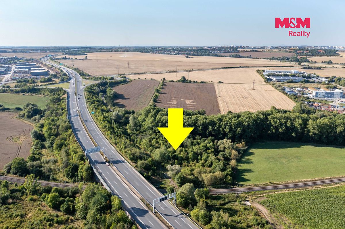 Prodej lesa 8894 m² – fotografie 2