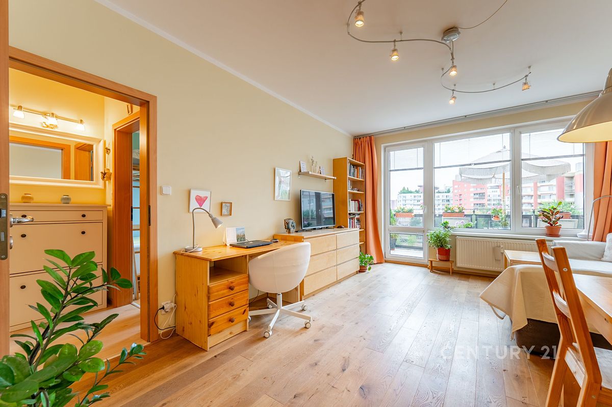 Pronájem bytu 2+kk 48 m² – fotografie 4