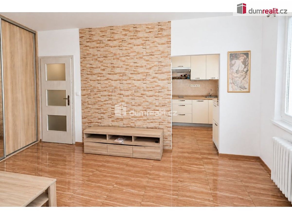 Pronájem bytu 1+1 31 m² – fotografie 3