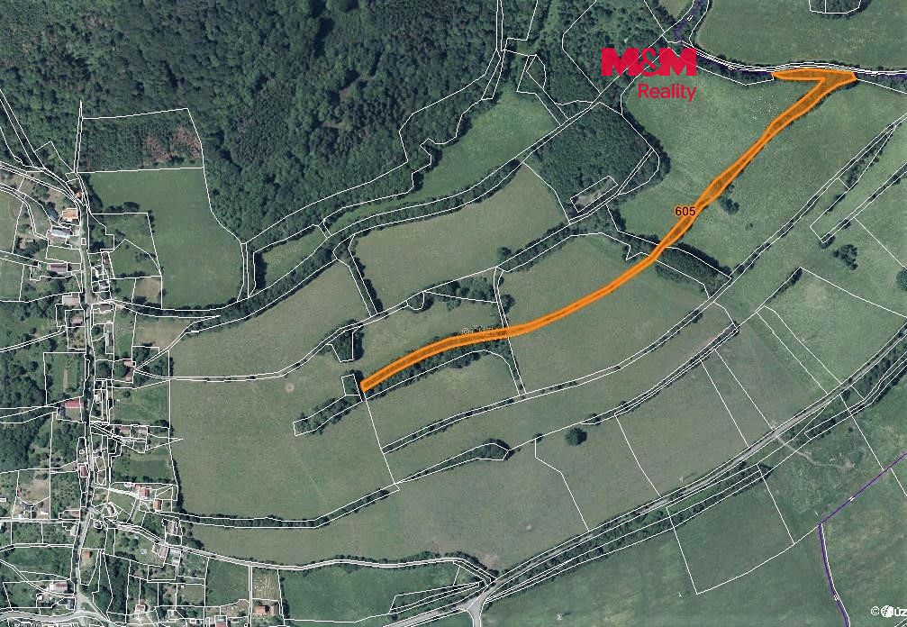 Prodej louky 10043 m², Kozly – fotka 1 z 3