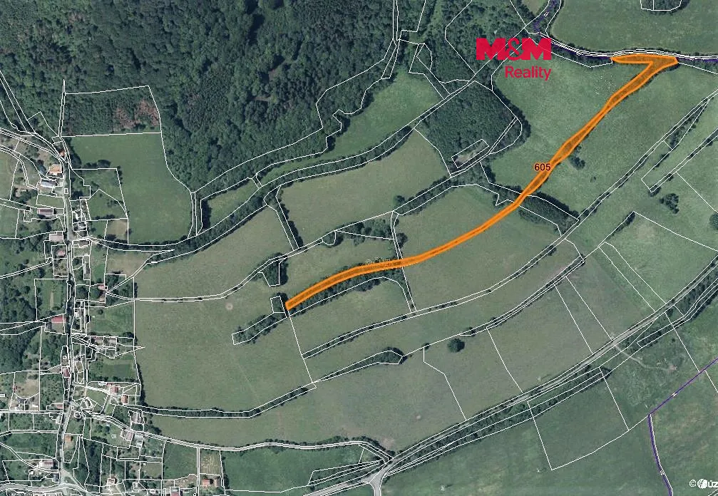 Prodej louky 10043 m²