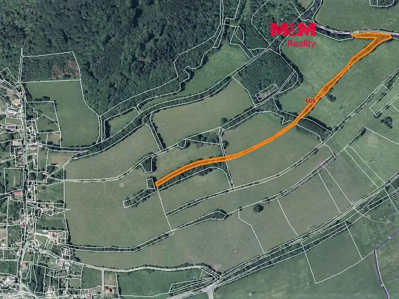 Prodej louky 10043 m², Kozly – náhled fotky 1