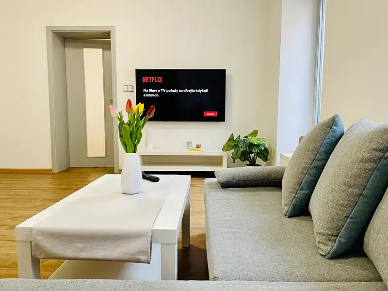 Pronájem bytu 3+kk 83 m², Jihlava – náhled fotky 3