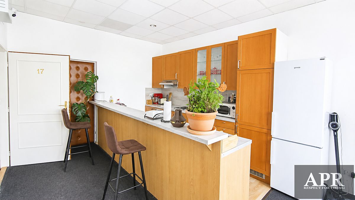 Pronájem bytu 1+kk 20 m²
