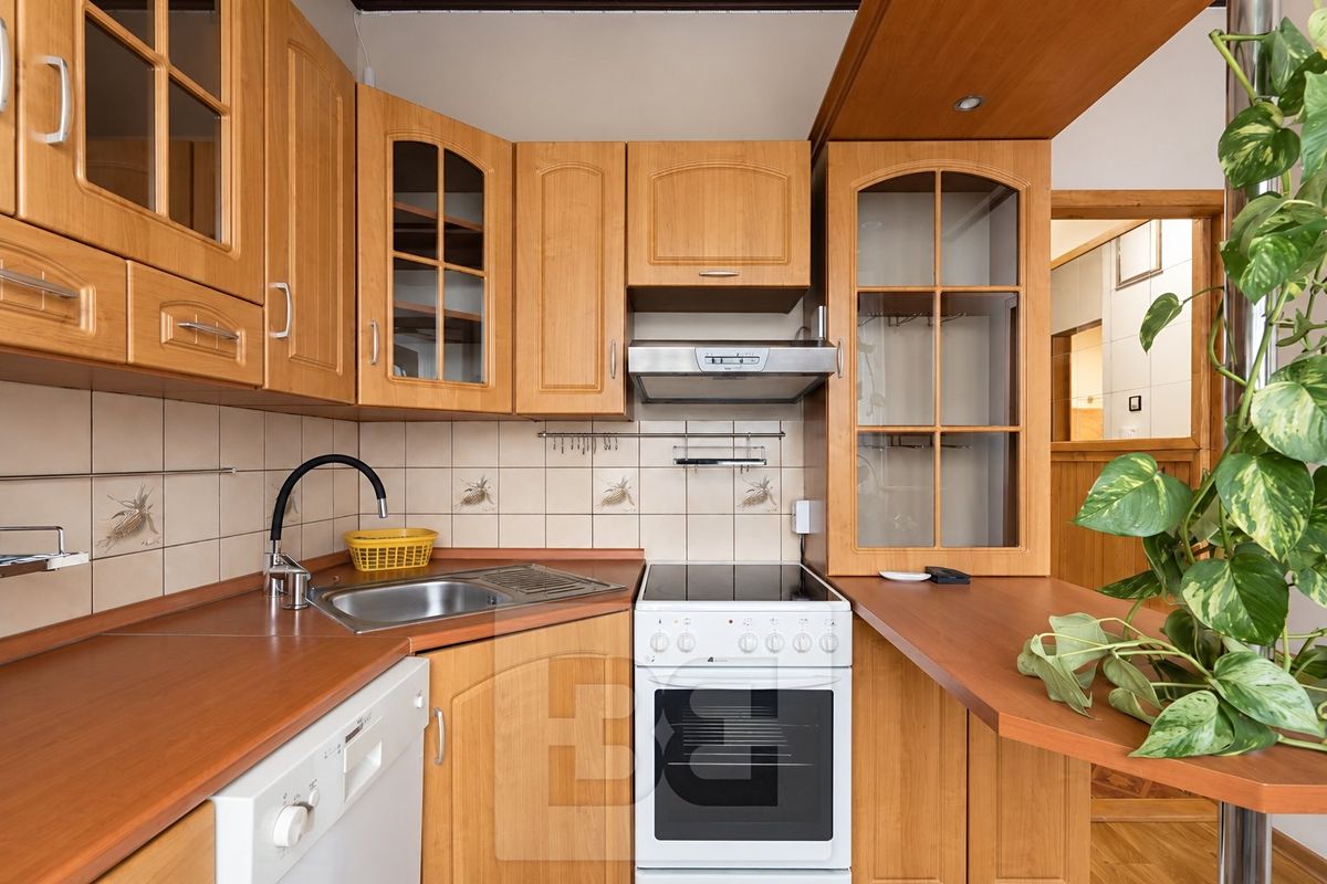 Pronájem bytu 1+1 41 m² – fotografie 3