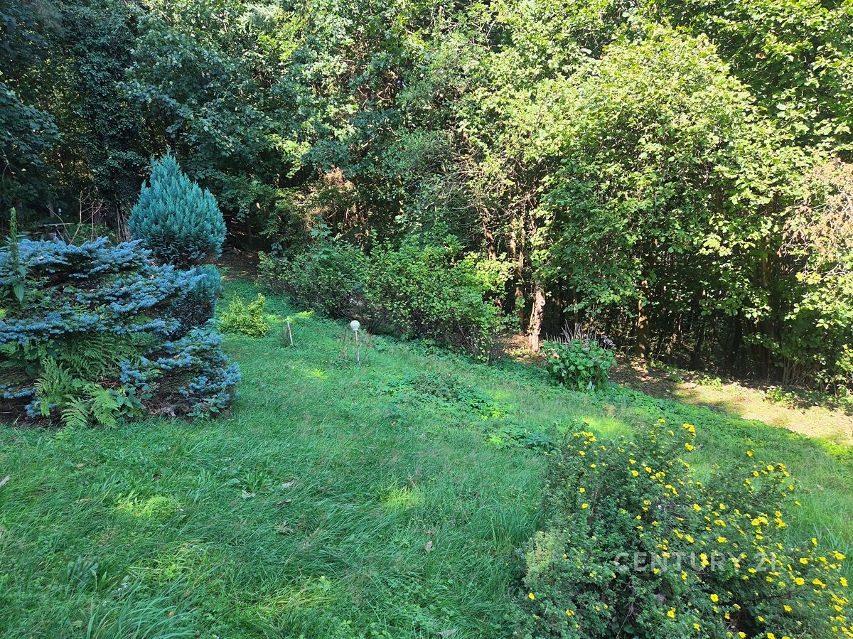 Prodej chaty 55 m², pozemek 1475 m² – fotografie 4