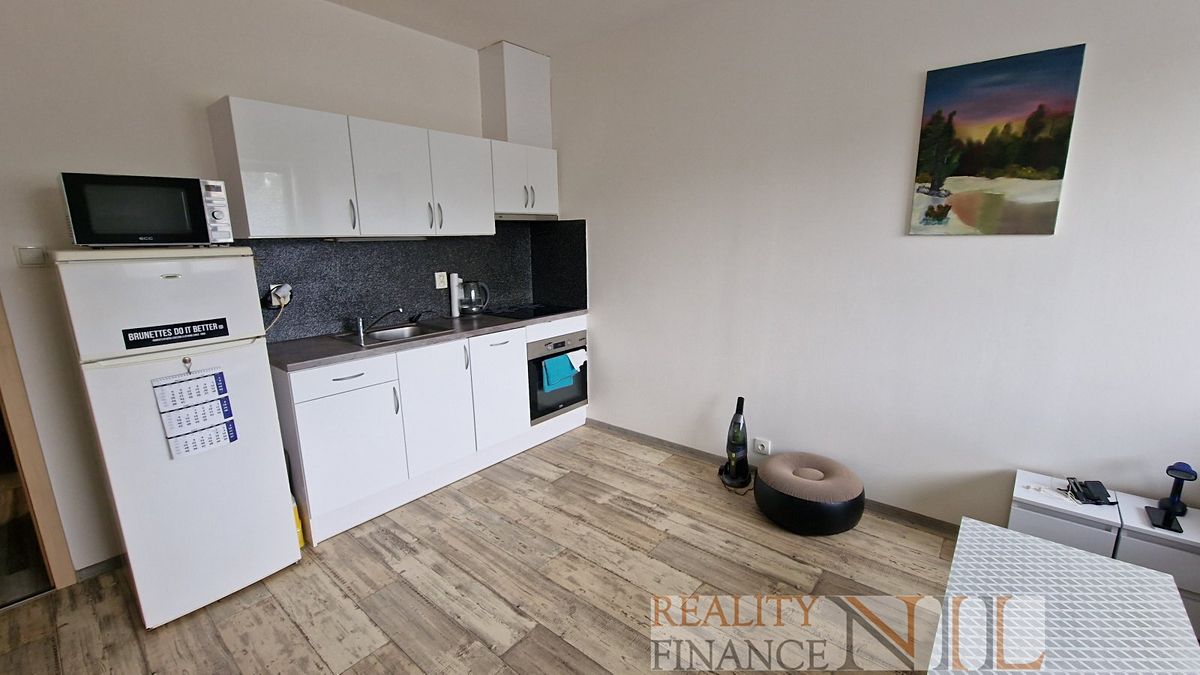 Pronájem bytu 1+kk 30 m² – fotografie 3