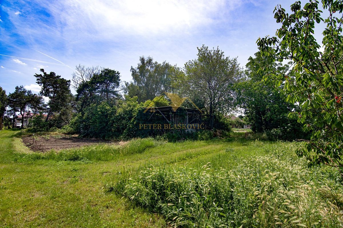 Prodej rodinného domu 125 m², pozemek 2783 m² – fotografie 4