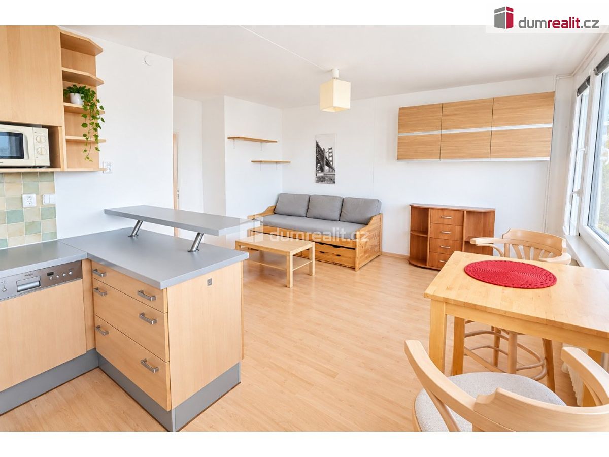 Pronájem bytu 3+kk 55 m² – fotografie 4