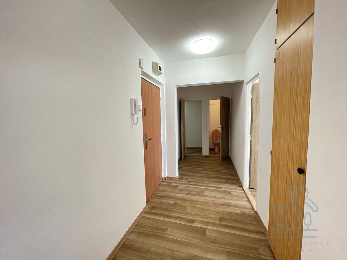 Pronájem bytu 1+1 46 m² – fotografie 3