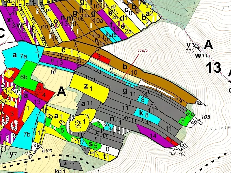 Dražba lesa 7901 m², Přemyslovice – náhled fotky 3