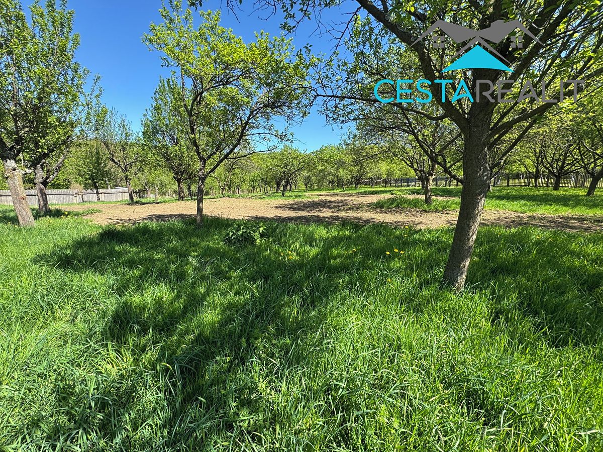 Prodej rodinného domu 100 m², pozemek 4424 m² – fotografie 4