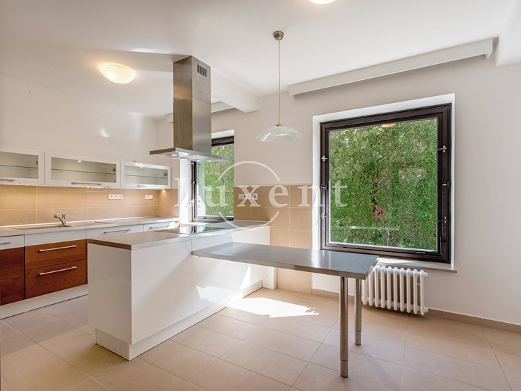 Pronájem domu, 417 m² (9 z 38)