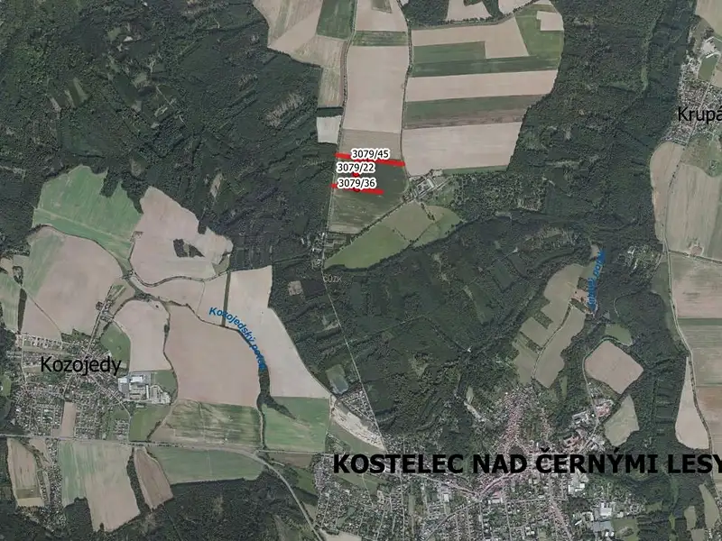 Prodej pole 5059 m², Kostelec nad Černými lesy – náhled fotky 3
