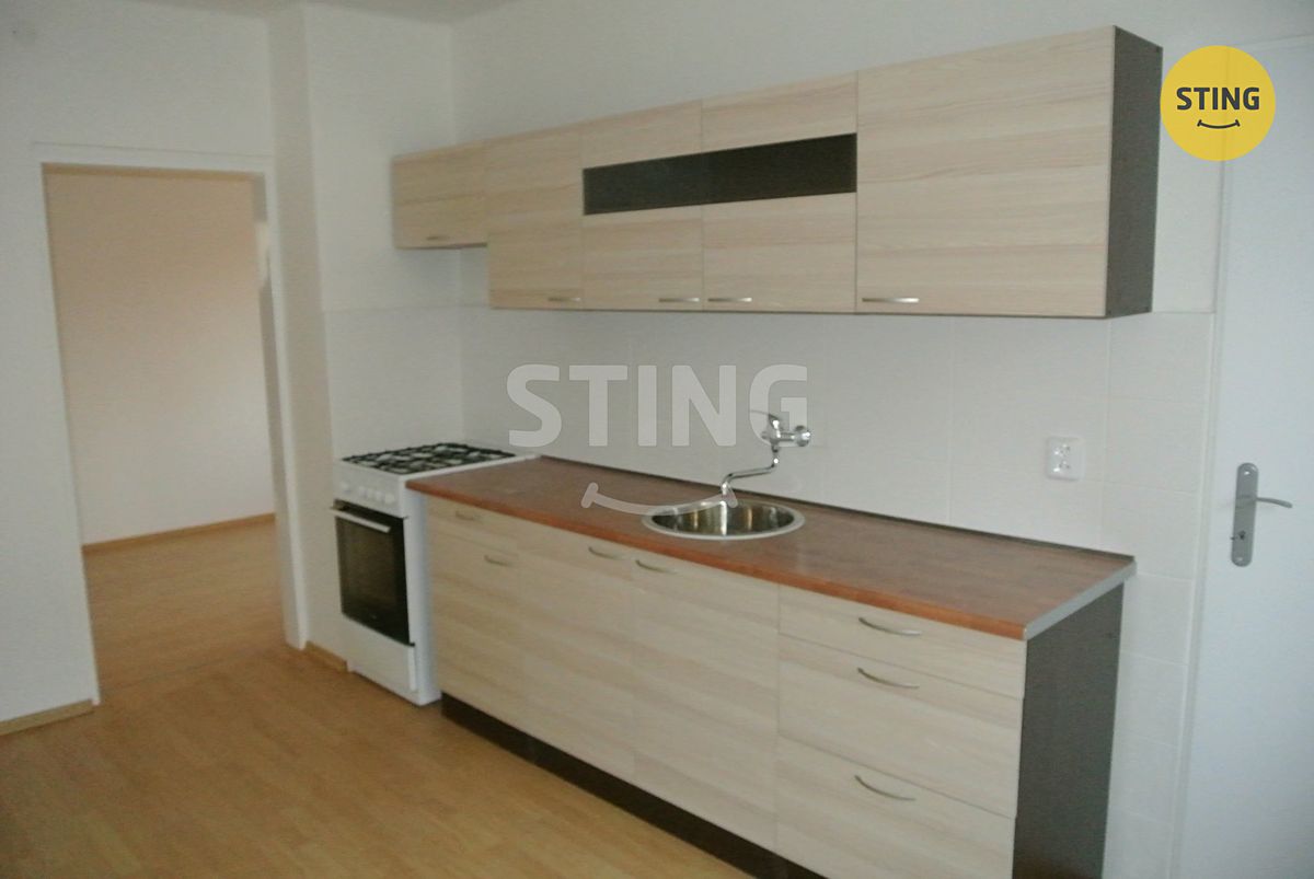 Prodej vícegeneračního domu 195 m², pozemek 1289 m² – fotografie 4