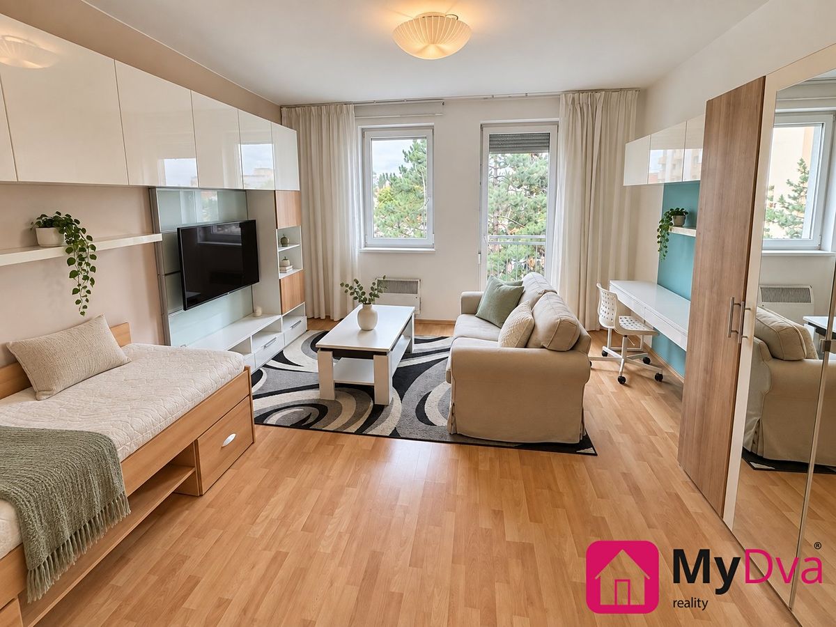 Pronájem bytu 1+1 40 m²