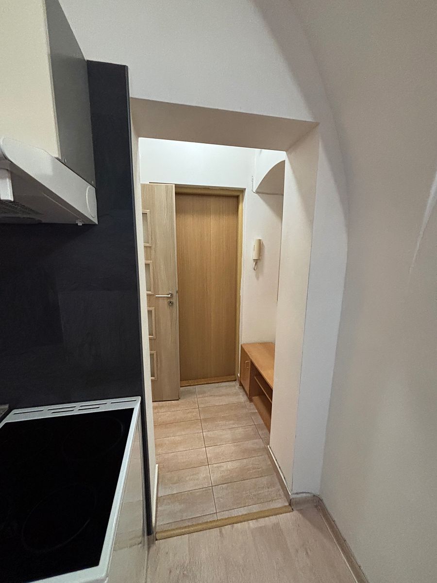 Pronájem bytu 1+1 45 m² – fotografie 3