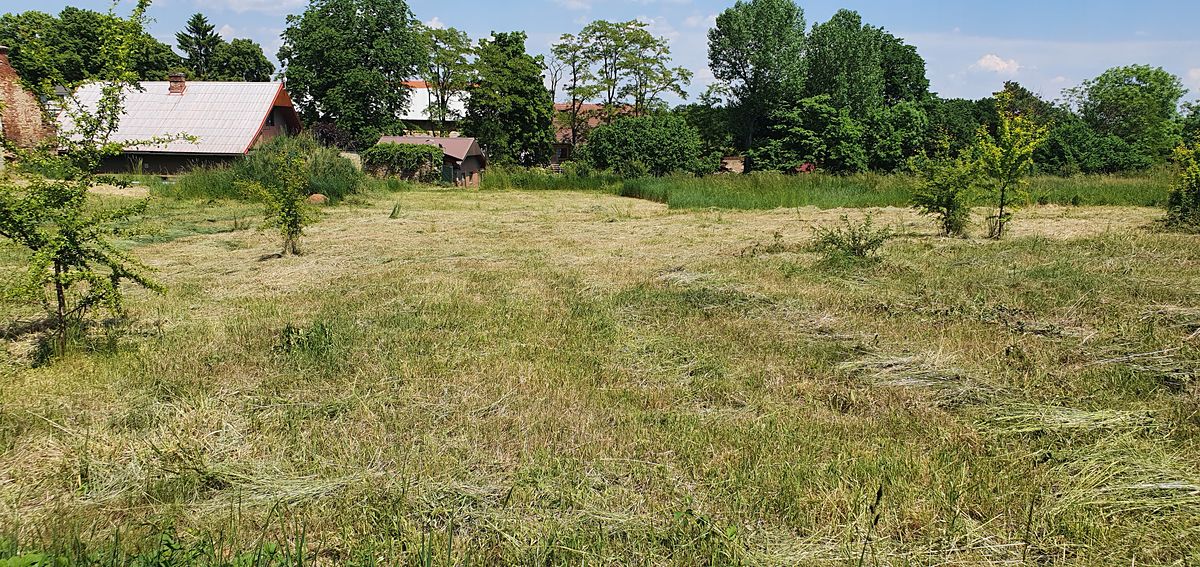 Prodej stavebního pozemku 787 m² – fotografie 4