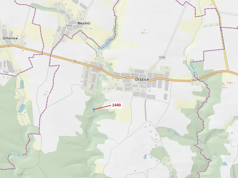 Dražba lesa 1097 m², Dražice – náhled fotky 1