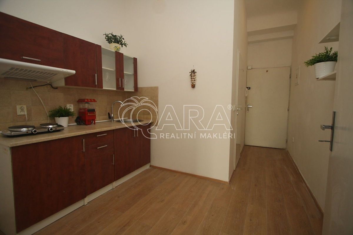 Pronájem bytu 1+kk 29 m² – fotografie 4