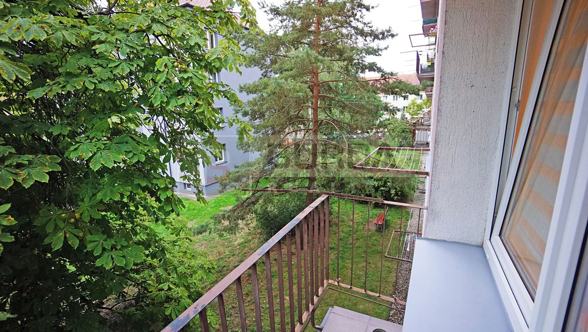 Pronájem bytu 2+1 55 m² – fotografie 5