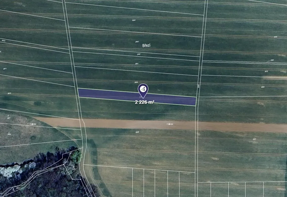 Prodej podílu 1/4 pole 557 m²