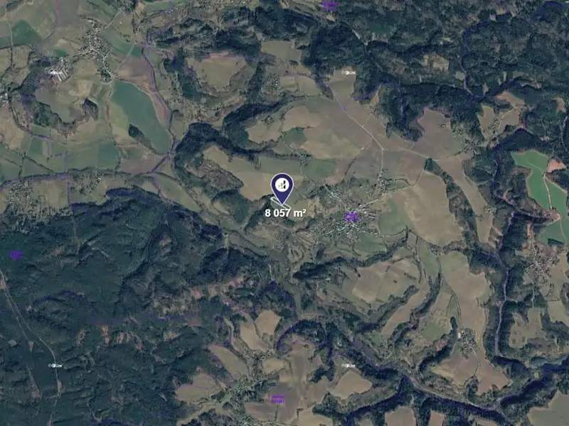 Prodej louky 8057 m², Vyskeř – náhled fotky 2