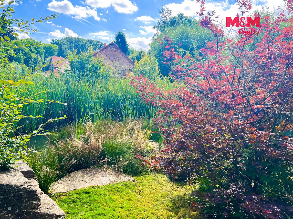 Prodej zemědělské usedlosti 750 m², pozemek 16025 m² – fotografie 4