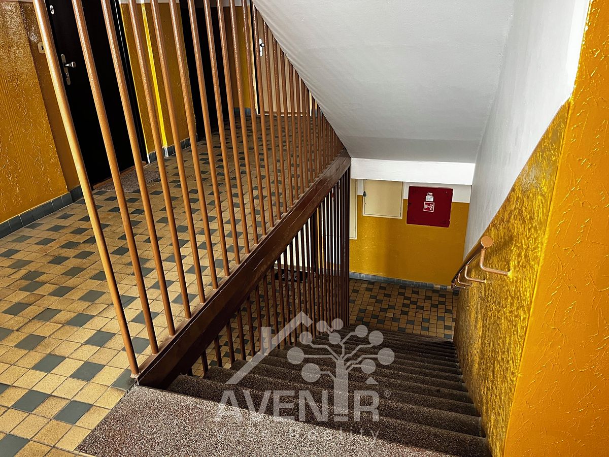 Pronájem bytu 3+kk 42 m² – fotografie 4
