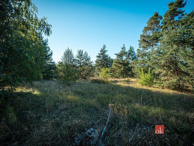 Prodej pozemku, 2 135 m² (4 z 29)