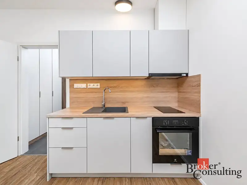 Pronájem bytu 1+kk 30 m², Plzeň – náhled fotky 3
