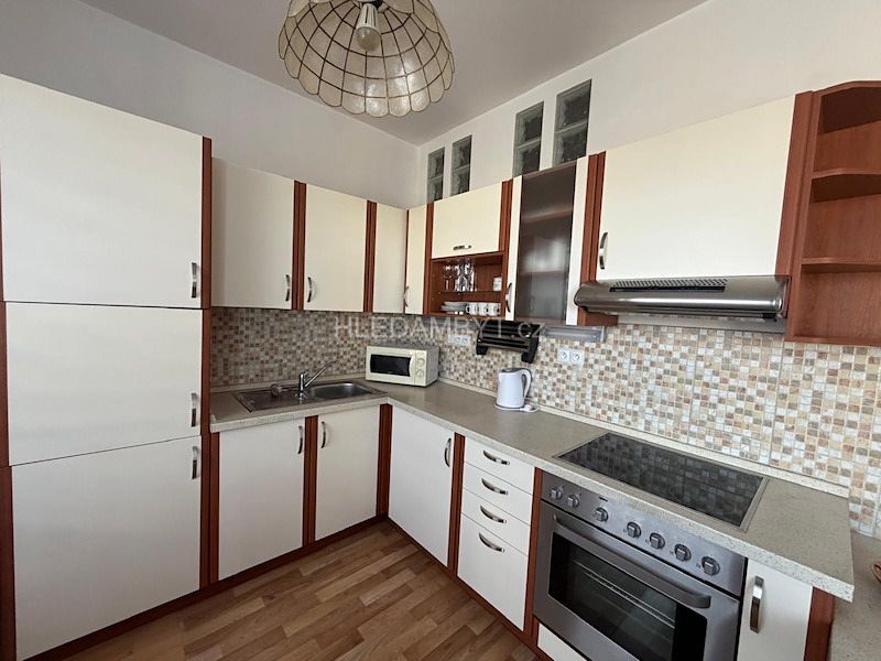 Pronájem bytu 1+1 43 m² – fotografie 3