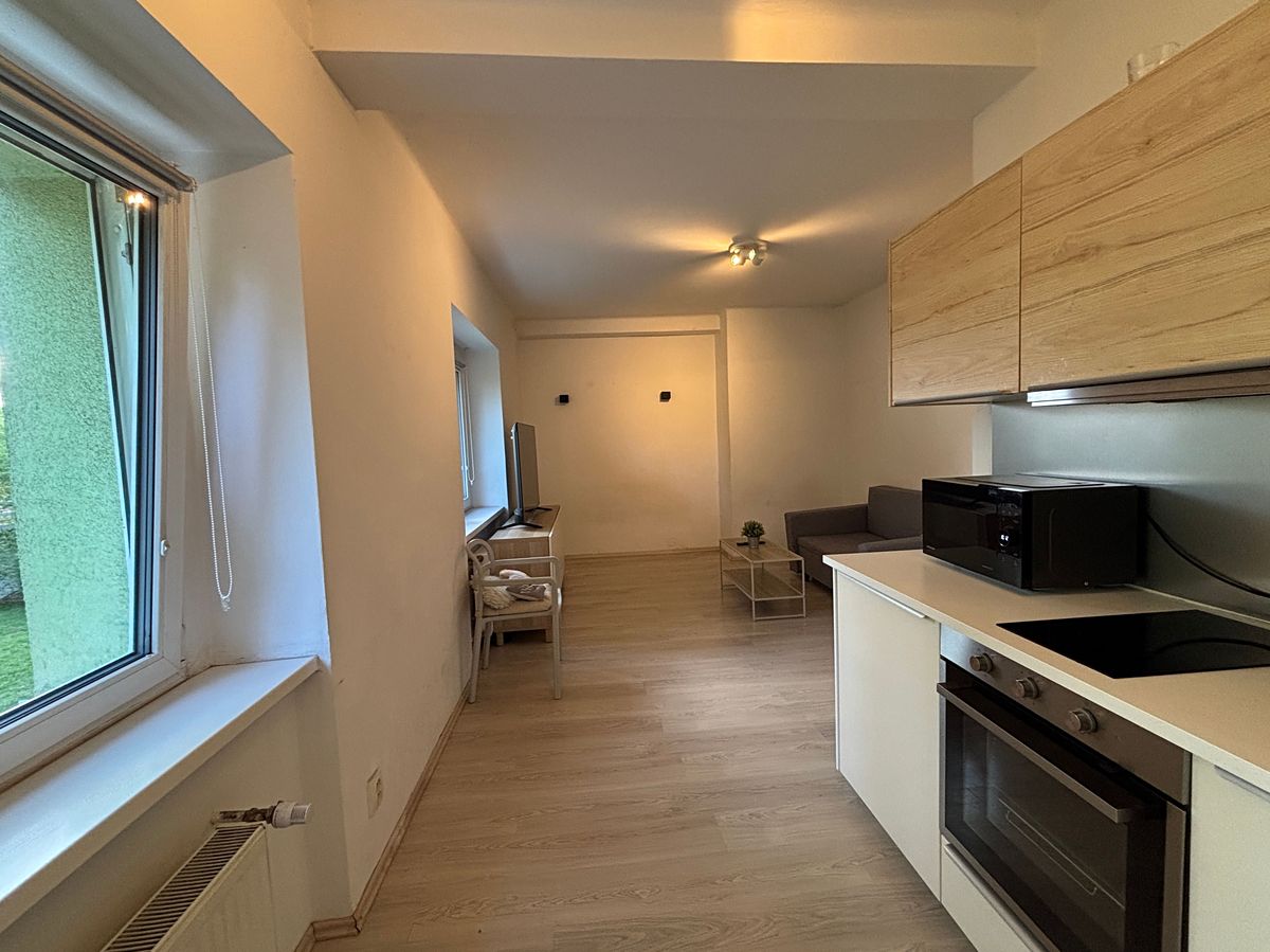 Pronájem bytu 1+kk 30 m² – fotografie 2
