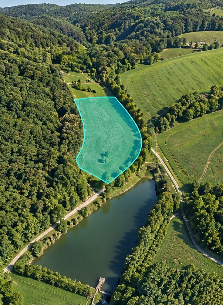 Prodej louky 21368 m²
