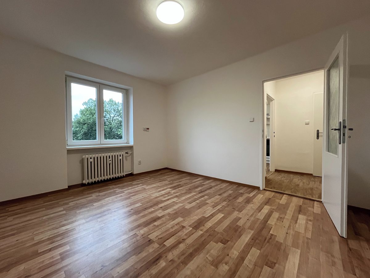 Pronájem bytu 1+1 30 m² – fotografie 3
