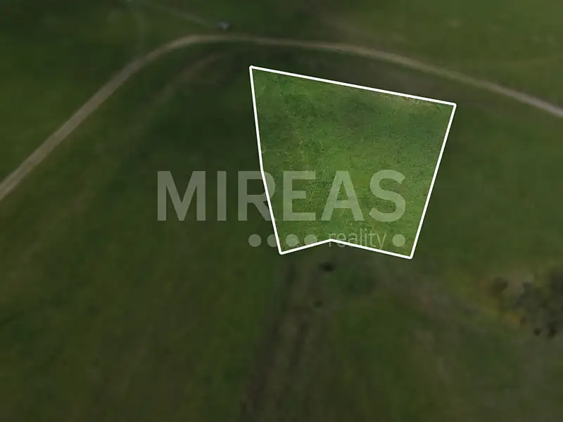 Prodej stavebního pozemku 2516 m², Rokytá – náhled fotky 1