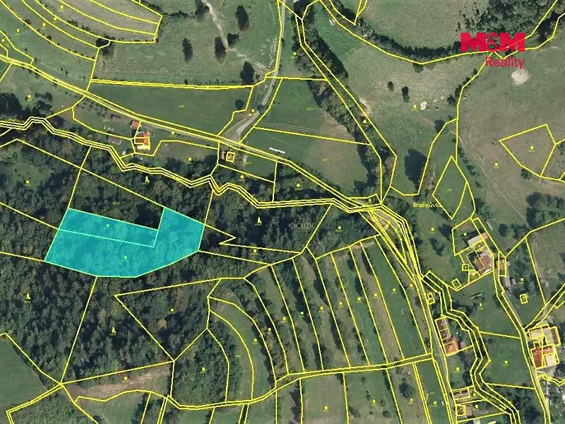 Prodej lesa 5661 m², Huslenky – náhled fotky 3