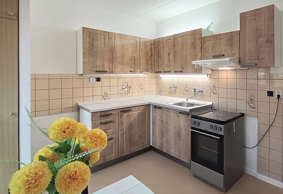 Pronájem bytu 3+1 81 m²