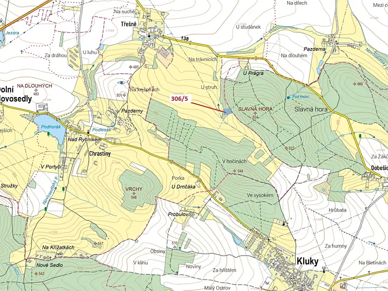 Dražba lesa 4906 m², Záhoří – náhled fotky 1