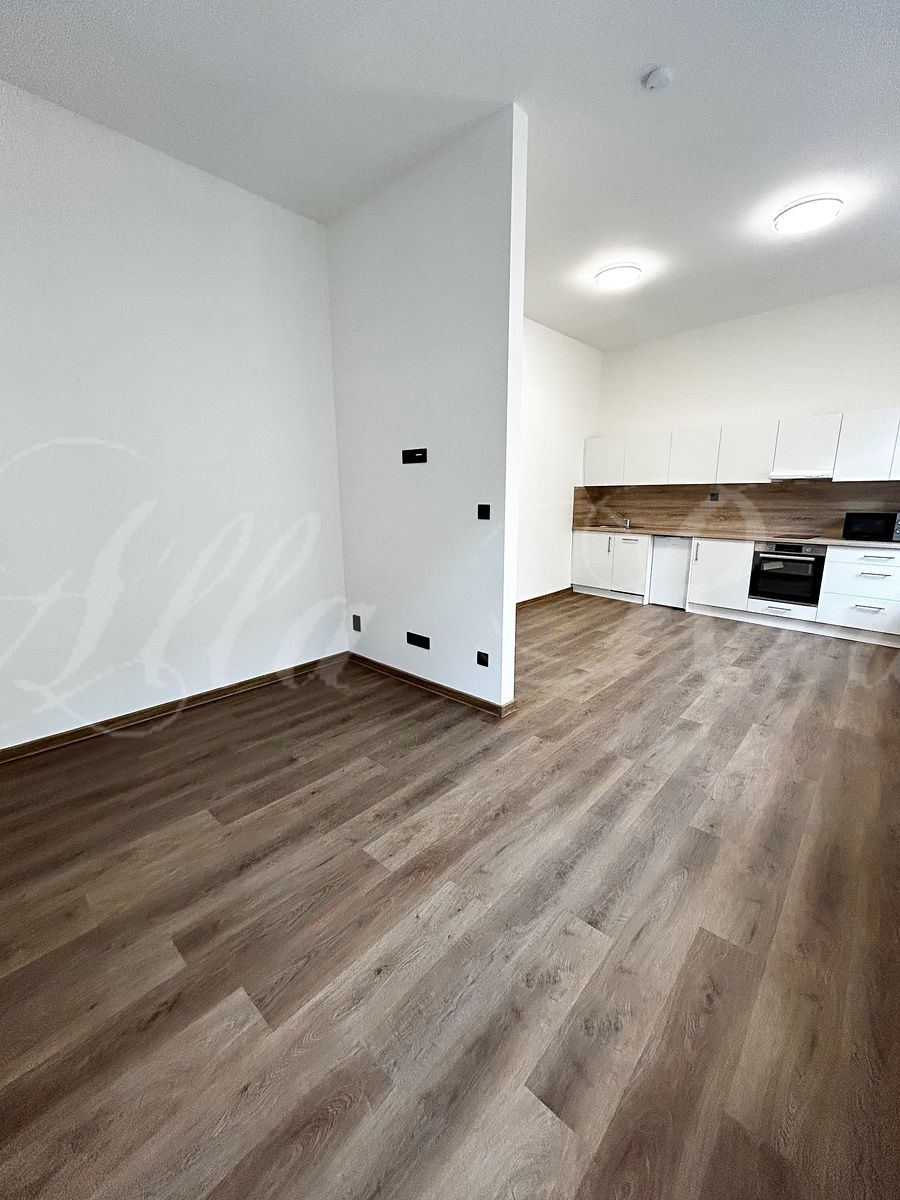 Pronájem bytu 2+kk 50 m² – fotografie 2