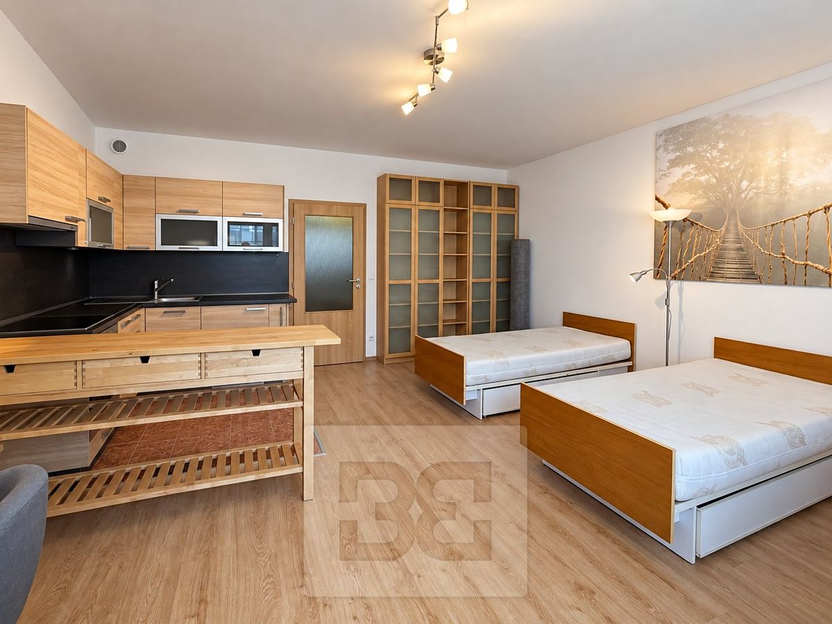 Pronájem bytu 1+kk 32 m² – fotografie 2