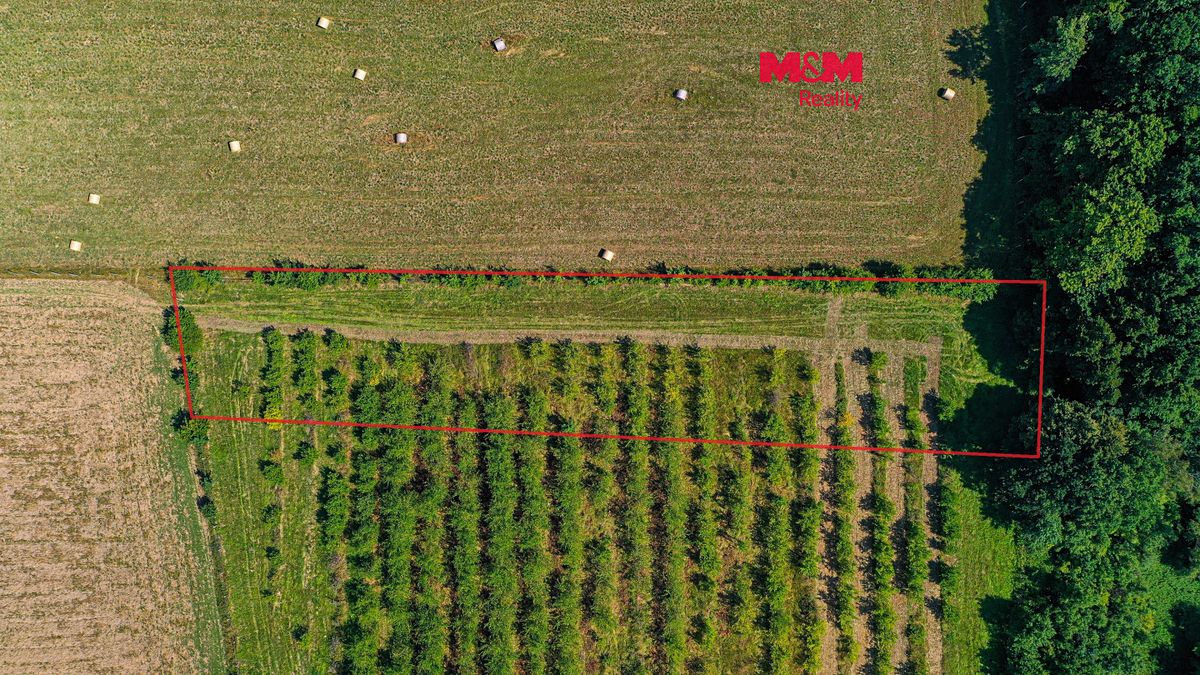Prodej pole 2771 m²