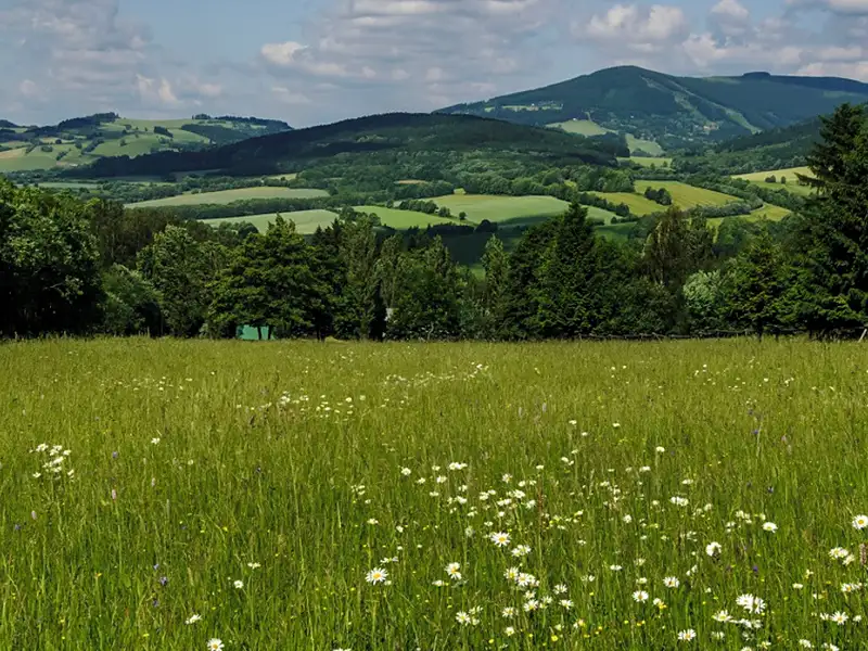 Prodej louky 4986 m², Mladé Buky – náhled fotky 2