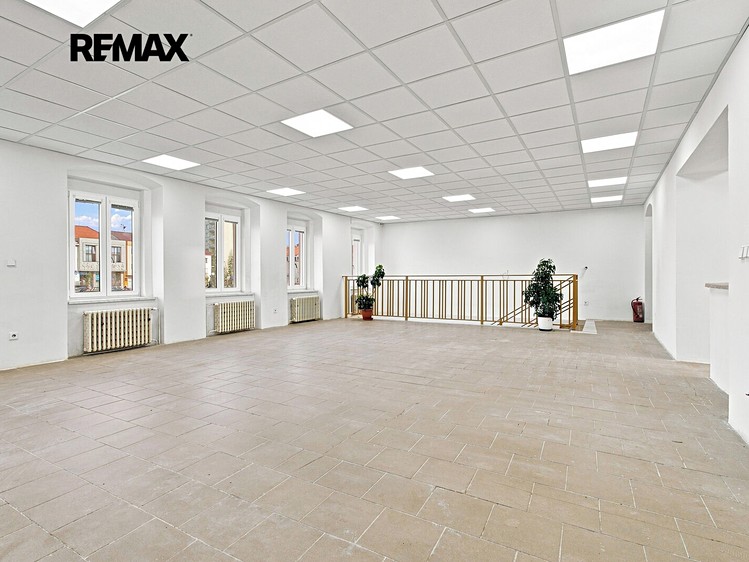 Pronájem komerčního prostoru, 171 m² (10 z 39)
