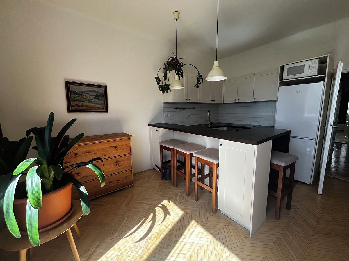 Pronájem bytu 3+kk 67 m² – fotografie 4