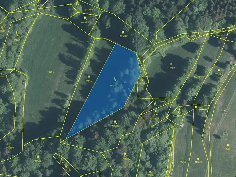 Dražba lesa 2322 m², Hovězí – náhled fotky 2