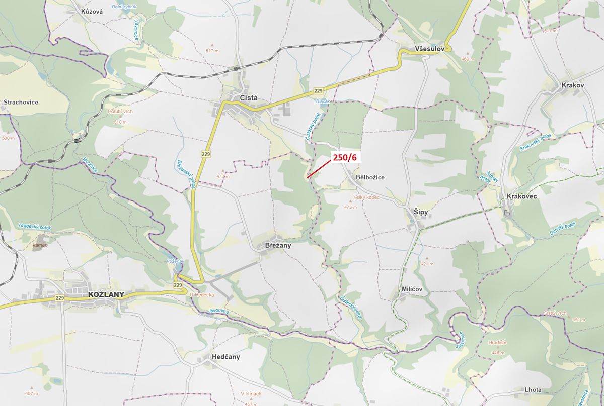 Dražba lesa 9 m², Břežany – fotka 1 z 3