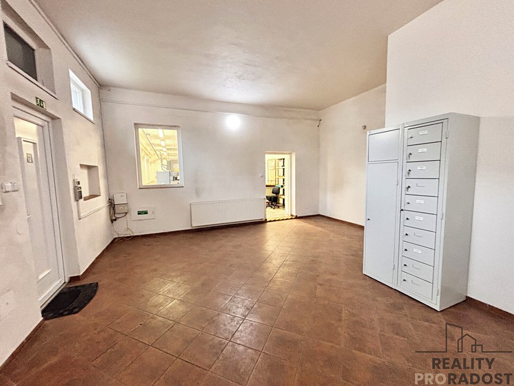 Gewerbefläche zum Kauf, 244 m² (13 von 20)
